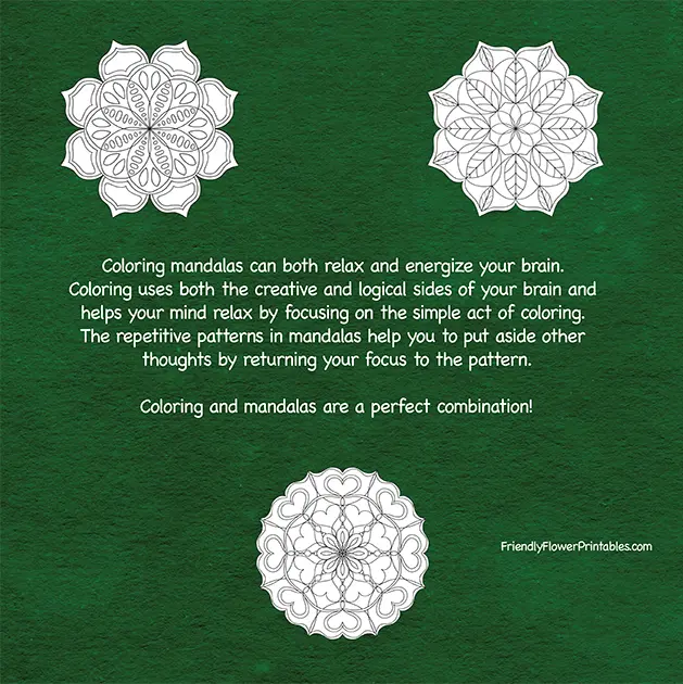 Coloring Mandalas for Relaxation - Image 4